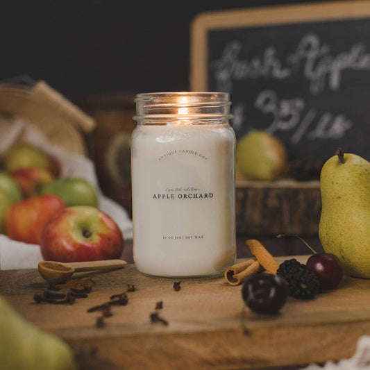 Apple Orchard 16 oz Candle