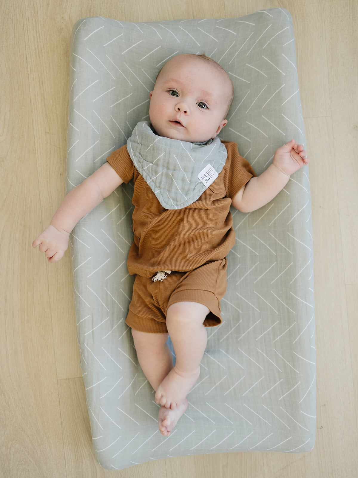 Desert Sage Muslin Bib