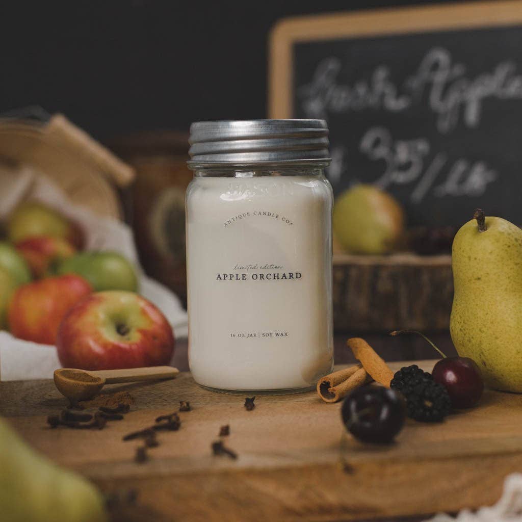 Apple Orchard 16 oz Candle