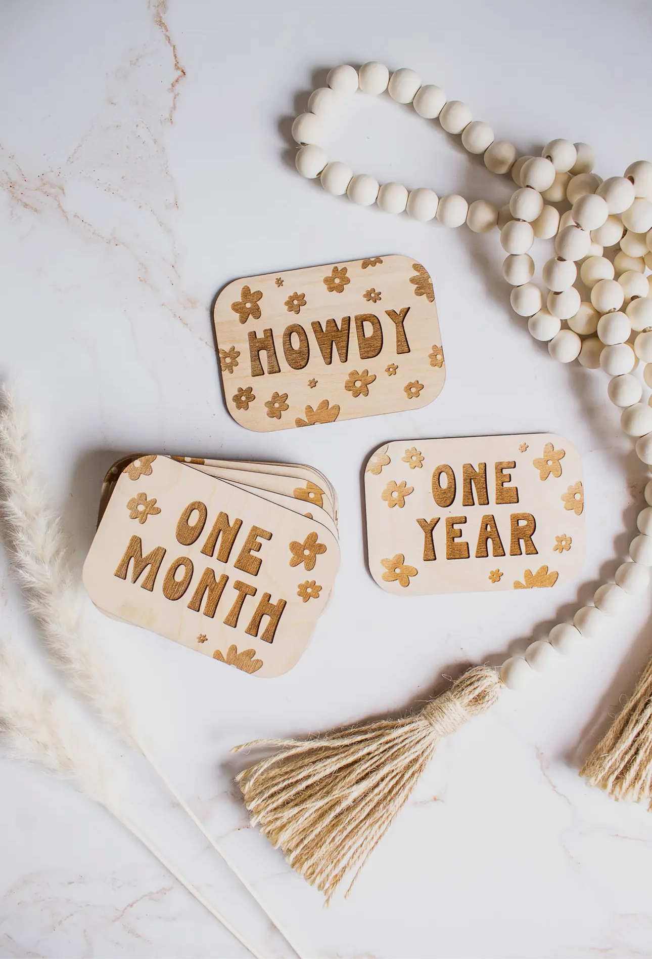 Howdy Daisy | Milestone Set